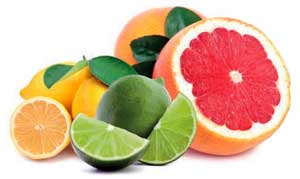 Professional results for all your citrus juice extraction